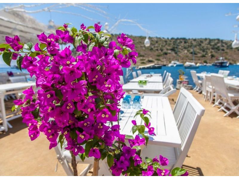 Places to Visit in Bodrum: The Address of Unlimited Beauties Bodrum!